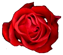 warda